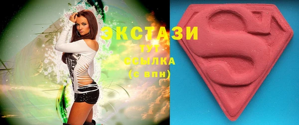 шишки Инсар