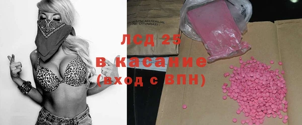 амф Инта