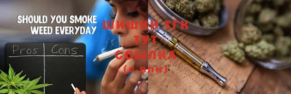 шишки Инсар