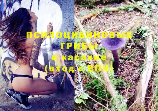 шишки Инсар