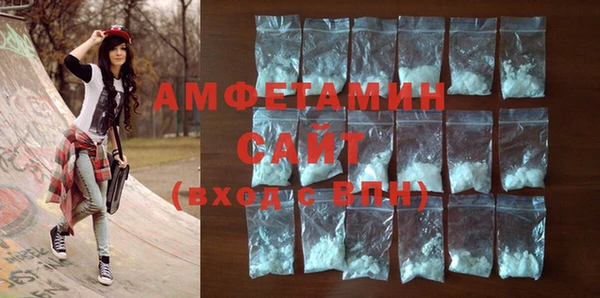 шишки Инсар