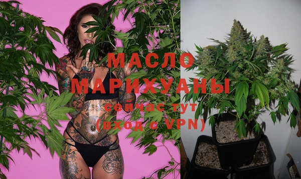 шишки Инсар
