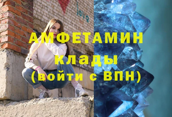 шишки Инсар