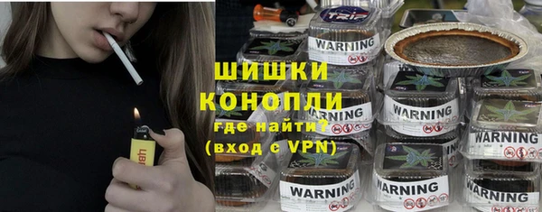 шишки Инсар