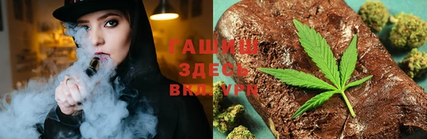 шишки Инсар