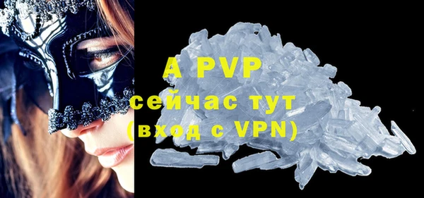 шишки Инсар