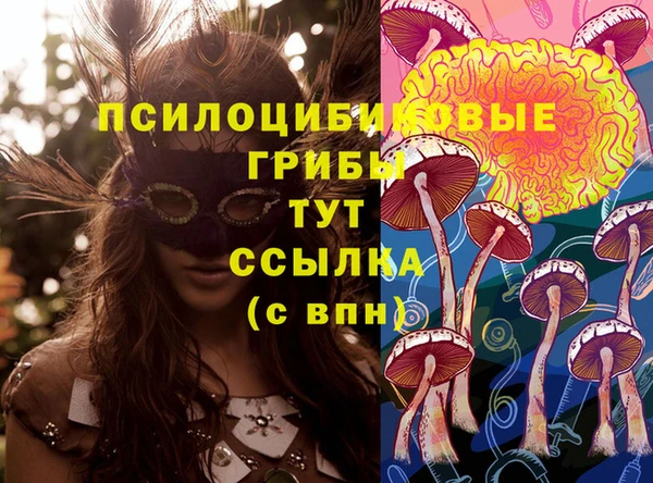 шишки Инсар