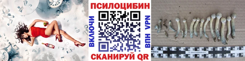 Купить закладки  Алушта  Псилоцибиновые грибы ЛСД 