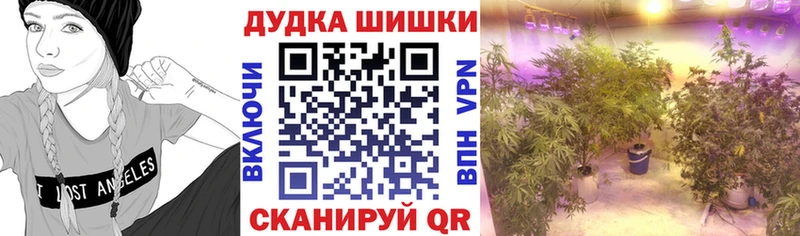 Каннабис конопля  Купить  Алушта 